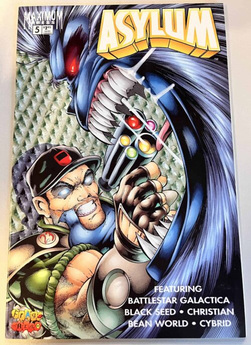Asylum # 5 (Maximum Press)