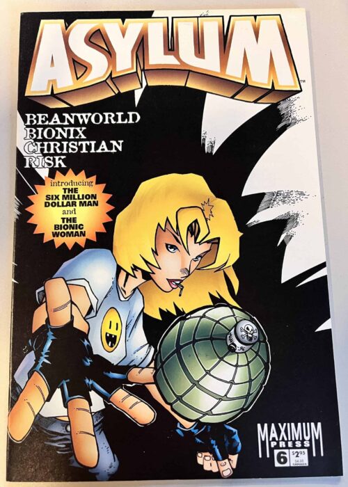 Asylum # 6 (Maximum Press)