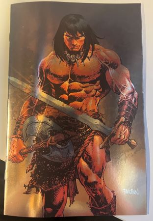 Conan the Barbarian # 21 cover F Dan Panosian Foil Variant (Titan Comics)
