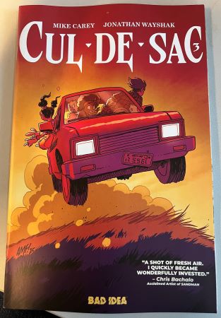 Cul de Sac #3 Tony Fleecs Cursed Mirror variant (Bad Idea)