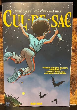 Cul de Sac #4  Tony Fleecs Cursed Mirror variant (Bad Idea)