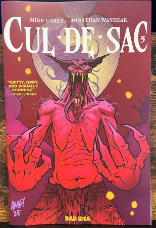 Cul de Sac #5 Tony Fleecs Cursed Mirror variant (Bad Idea)