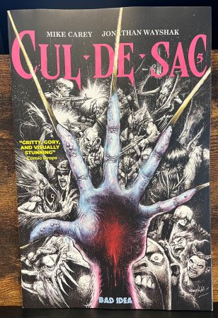 Cul de Sac #5 (Bad Idea)