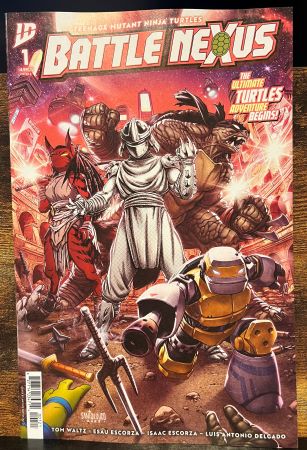 Teenage Mutant Ninja Turtles Battle Nexus #1 cover B (IDW Publishing)