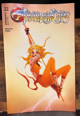 Thundercats #22 Jae Lee cover (Dynamite Entertainment)